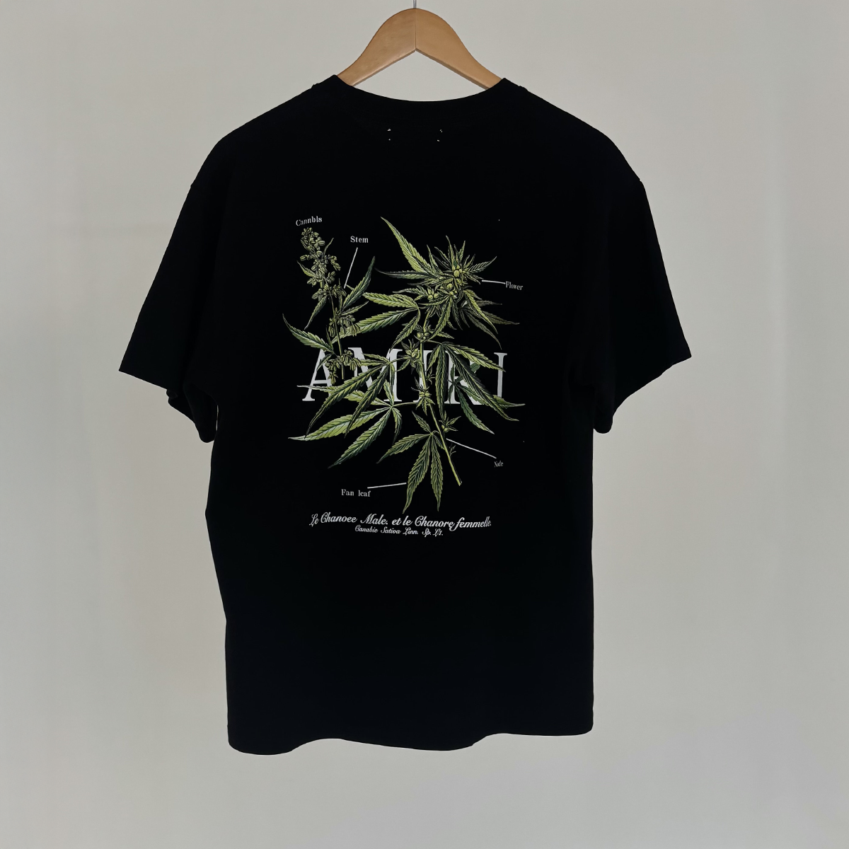 Camiseta AMIRI Biologic